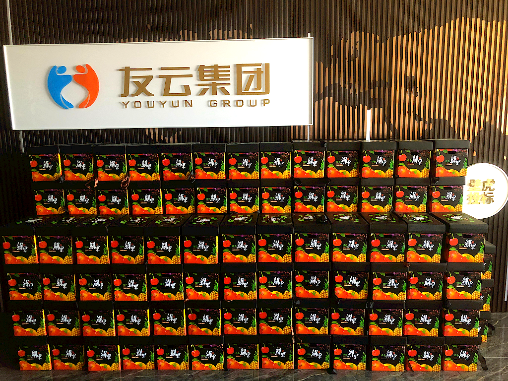 中朵云建設(shè)